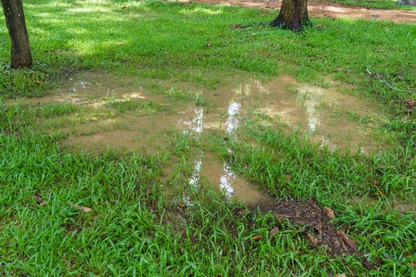 Cost of Storm Water Drainage Service in Saint Charles