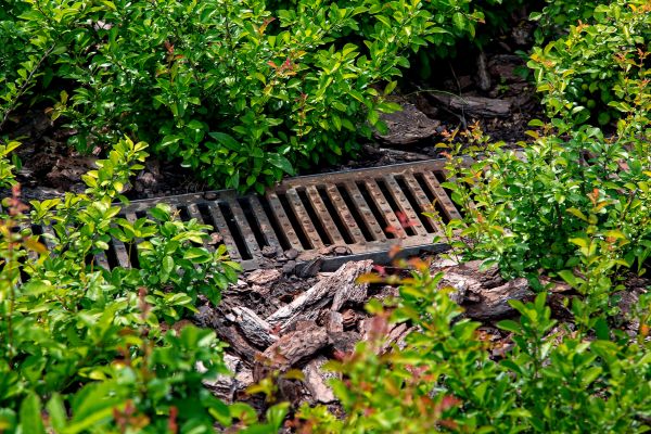 Cost of Underground Drainage Service in Saint Charles