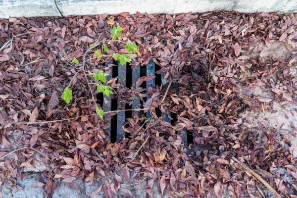 Cost of Yard Drain Unclogging in Saint Charles