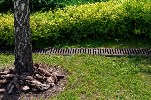 Cost of Yard Water Redirection in Saint Charles