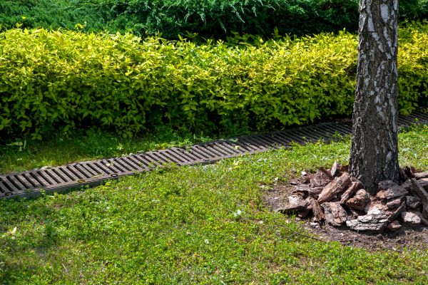 Cost of Residential Landscape Drainage in Saint Charles