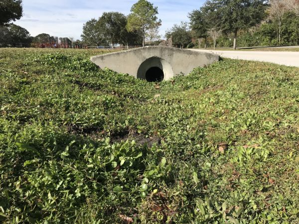 Cost of Swale Drainage Service in Saint Charles